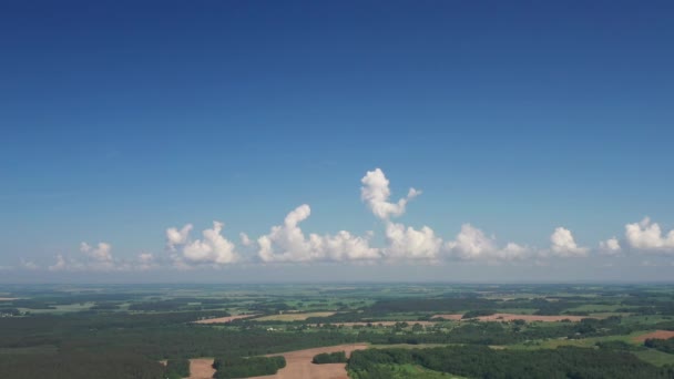 View from the height of the green field and the forest near Minsk.Belarus.Nature of Belarus — Stockvideo