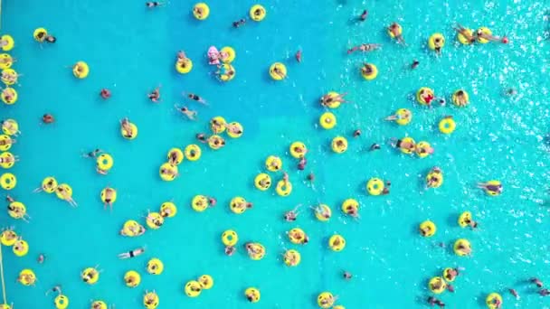 Top View People Relaxing Pool Yellow Inflatable Circles — Stock Video