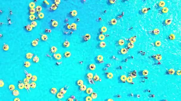 Widok z góry Ludzie relaksujący się w basenie na żółtych nadmuchiwanych kręgach — Wideo stockowe