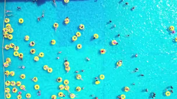 Κάτοψη των ανθρώπων που χαλαρώνουν στην πισίνα σε κίτρινο φουσκωτούς κύκλους — Αρχείο Βίντεο