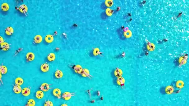 Vista superior de pessoas que relaxam na piscina em círculos infláveis amarelos — Vídeo de Stock