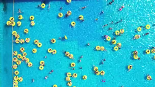 Vista dall'alto delle persone che si rilassano in piscina sui cerchi gonfiabili gialli — Video Stock