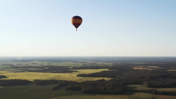 Un palloncino colorato con persone vola sopra campi verdi e foreste — Video Stock