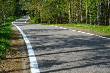 Orman yolu güneşli bir günde ormanda iyi bir asfalt yoldur..