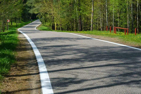 Forest road is a good paved road in the forest on a sunny day.