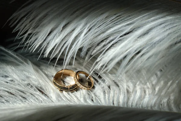 两只结婚戒指镶着白色的羽毛 爱情的概念 — 图库照片