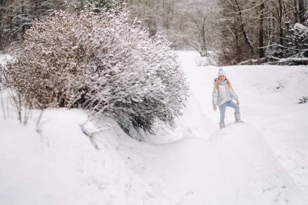 Une Petite Fille Dans Une Veste Argent Hiver Dehors Hiver — Photo