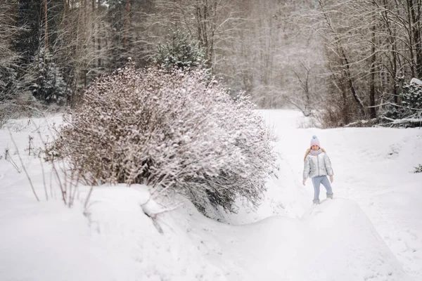 Une Petite Fille Dans Une Veste Argent Hiver Dehors Hiver — Photo