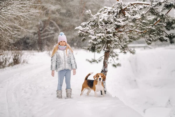 Uma Menina Passeio Com Seu Cão Floresta Inverno Dono Cão — Fotografia de Stock