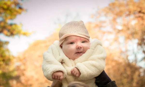 Fall Newborn Baby Background Autumn Yellow Foliage Mom Hands Backlight — Stock Photo, Image