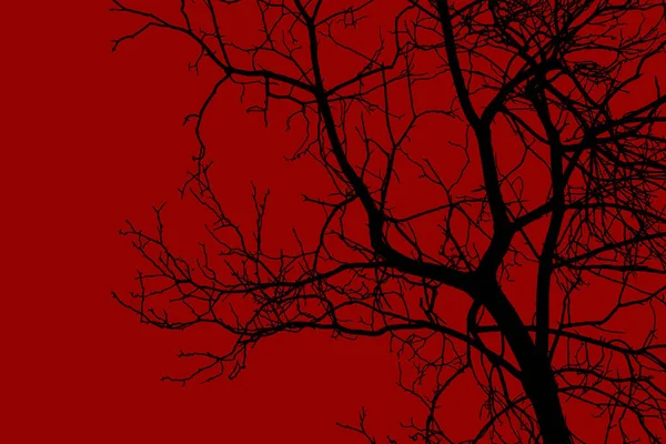 Silhouette Tree Branch Red Background Isolate — Stock Photo, Image