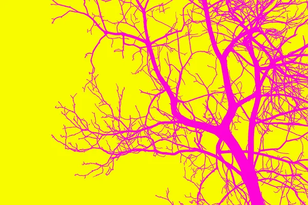 배경에 나뭇가지의 실루엣 — 스톡 사진