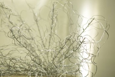 Noel dokusu. Beyaz arka planda gümüş saplı dallar. Yeni yıl fantazisi.