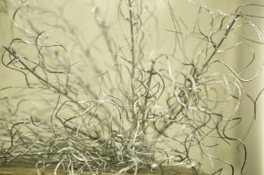 Noel dokusu. Beyaz arka planda gümüş saplı dallar. Yeni yıl fantazisi.