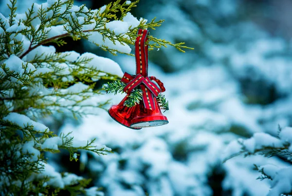 Pierwszy Śnieg Świąteczna Kartka Świąteczne Dzwony Pokrytej Śniegiem Gałęzi Jałowca — Zdjęcie stockowe