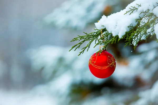 First Snow Christmas Card Christmas Tree Toy Snow Covered Branch — Stock Photo, Image