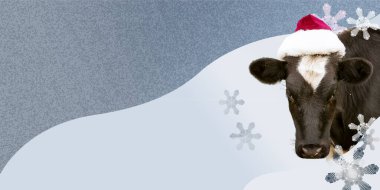 Boğa, Noel Baba şapkası takan 2021 'in sembolü. Yeni yıl ya da Noel hayvanları konsepti. Yeni yıl kartı.