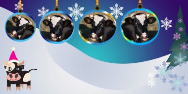 Noel kartı. Boğanın 2021 yılı. Noel Baba şapkalı neşeli bir buzağı ve içinde boğaların resimleri olan Noel baloları..