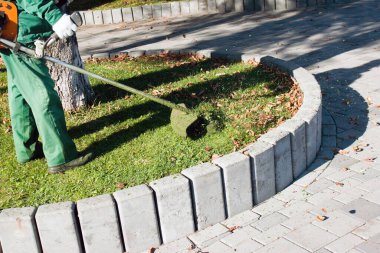 Parkta sonbahar çalışması. Bahçıvan kıştan önce çimleri biçer..