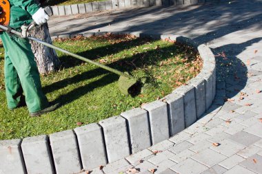 Parkta sonbahar çalışması. Bahçıvan kıştan önce çimleri biçer..