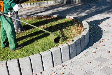 Parkta sonbahar çalışması. Bahçıvan kıştan önce çimleri biçer..