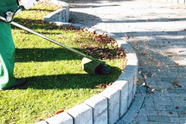 Parkta sonbahar çalışması. Bahçıvan kıştan önce çimleri biçer..