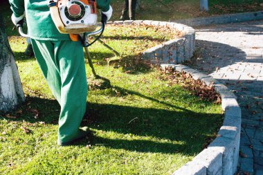 Parkta sonbahar çalışması. Bahçıvan kıştan önce çimleri biçer..