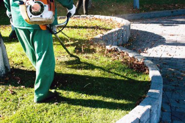 Parkta sonbahar çalışması. Bahçıvan kıştan önce çimleri biçer..