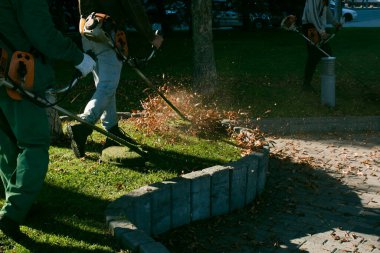 Parkta sonbahar çalışması. Bahçıvan kıştan önce çimleri biçer..