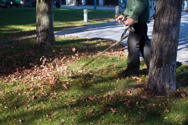 Parkta sonbahar çalışması. Bahçıvan kıştan önce çimleri biçer..