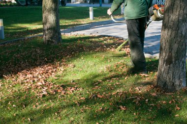 Parkta sonbahar çalışması. Bahçıvan kıştan önce çimleri biçer..