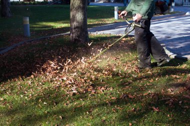 Parkta sonbahar çalışması. Bahçıvan kıştan önce çimleri biçer..