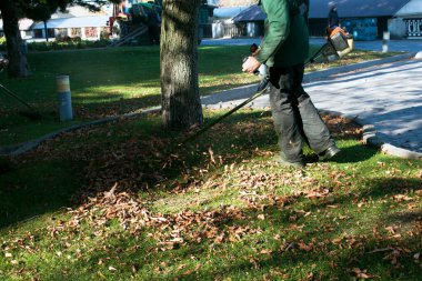 Parkta sonbahar çalışması. Bahçıvan kıştan önce çimleri biçer..