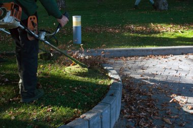 Parkta sonbahar çalışması. Bahçıvan kıştan önce çimleri biçer..