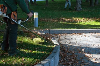 Parkta sonbahar çalışması. Bahçıvan kıştan önce çimleri biçer..