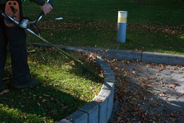 Parkta sonbahar çalışması. Bahçıvan kıştan önce çimleri biçer..