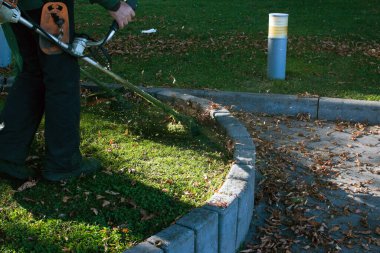 Parkta sonbahar çalışması. Bahçıvan kıştan önce çimleri biçer..