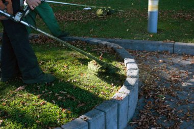 Parkta sonbahar çalışması. Bahçıvan kıştan önce çimleri biçer..
