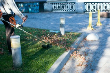 Parkta sonbahar çalışması. Bahçıvan kıştan önce çimleri biçer..