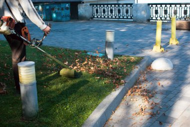 Parkta sonbahar çalışması. Bahçıvan kıştan önce çimleri biçer..