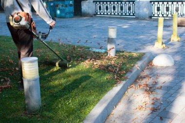 Parkta sonbahar çalışması. Bahçıvan kıştan önce çimleri biçer..