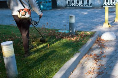 Parkta sonbahar çalışması. Bahçıvan kıştan önce çimleri biçer..