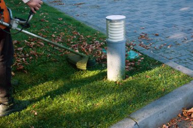 Parkta sonbahar çalışması. Bahçıvan kıştan önce çimleri biçer..