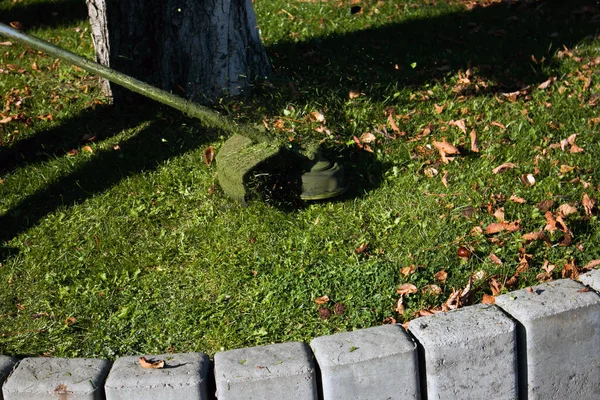 Trabajo Otoño Parque Jardinero Corta Hierba Antes Del Invierno — Foto de Stock