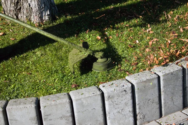 Trabajo Otoño Parque Jardinero Corta Hierba Antes Del Invierno — Foto de Stock