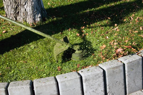 Travail Automne Dans Parc Jardinier Coupe Herbe Avant Hiver — Photo