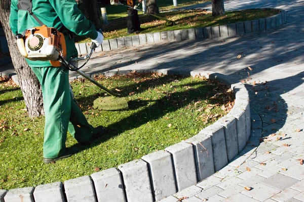 Parkta sonbahar çalışması. Bahçıvan kıştan önce çimleri biçer..