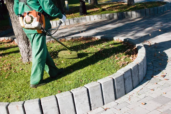 Parkta sonbahar çalışması. Bahçıvan kıştan önce çimleri biçer..