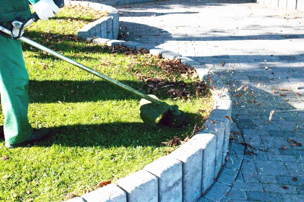 Parkta sonbahar çalışması. Bahçıvan kıştan önce çimleri biçer..