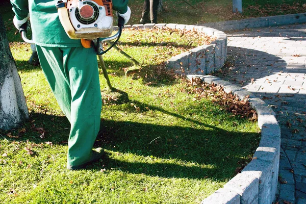 Parkta sonbahar çalışması. Bahçıvan kıştan önce çimleri biçer..